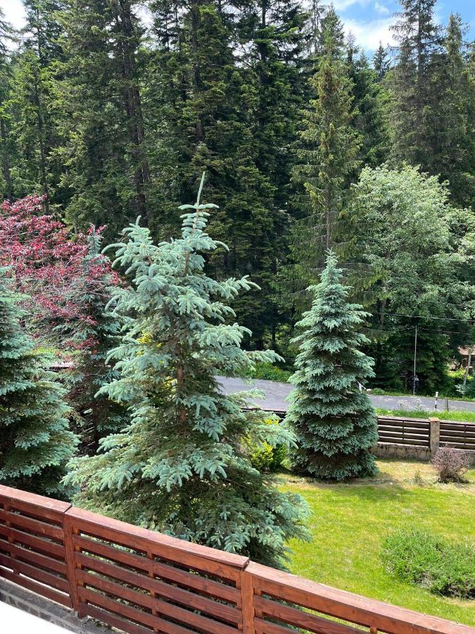 Vila 7 Predeal - Unique Location In The Forest المظهر الخارجي الصورة