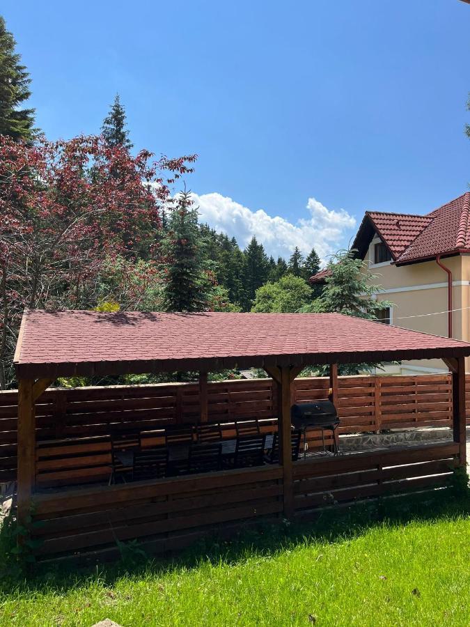 Vila 7 Predeal - Unique Location In The Forest المظهر الخارجي الصورة