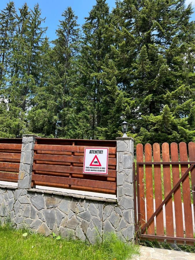 Vila 7 Predeal - Unique Location In The Forest المظهر الخارجي الصورة